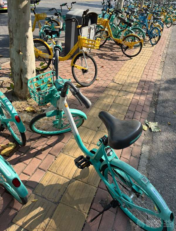 盲道问题反馈图