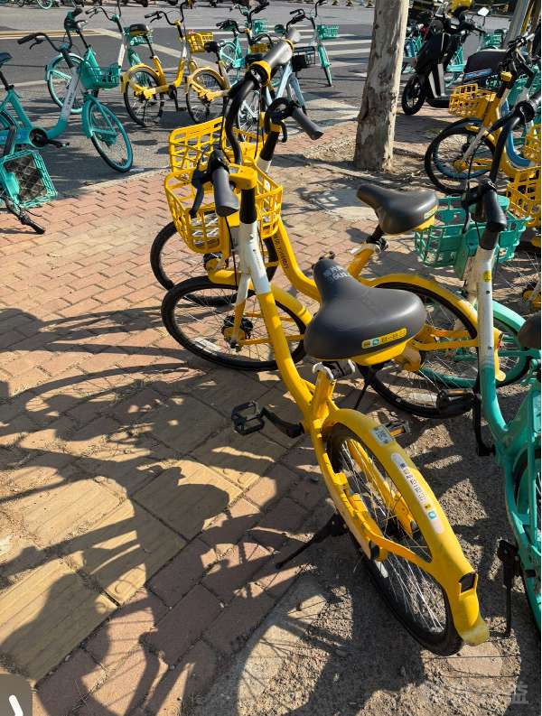 盲道问题反馈图