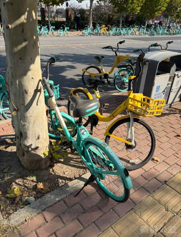 盲道问题处理后图片