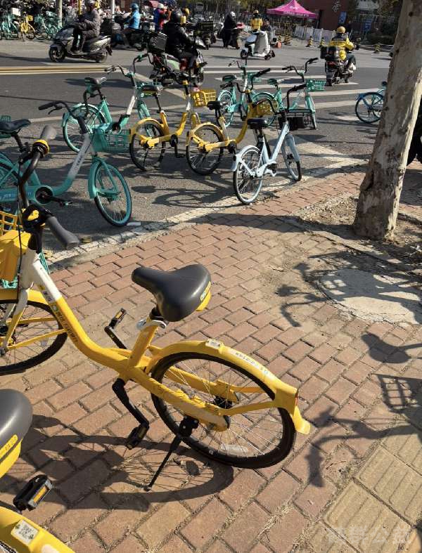 盲道问题反馈图