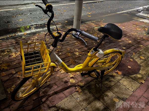 盲道问题反馈图