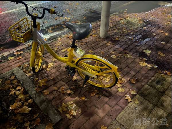 盲道问题处理后图片