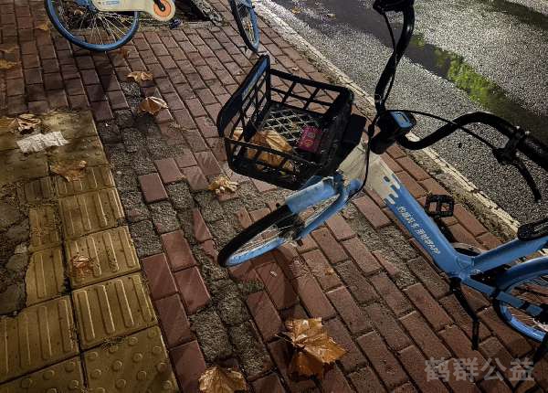 盲道问题处理后图片