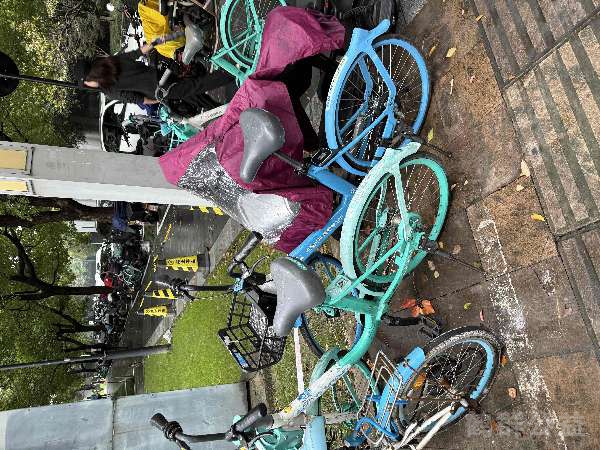 盲道问题处理后图片