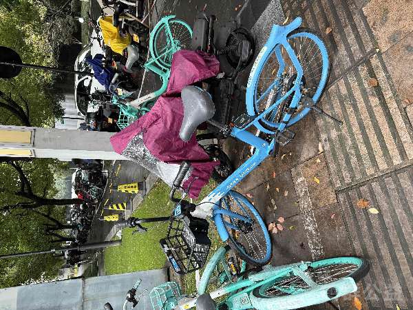 盲道问题反馈图