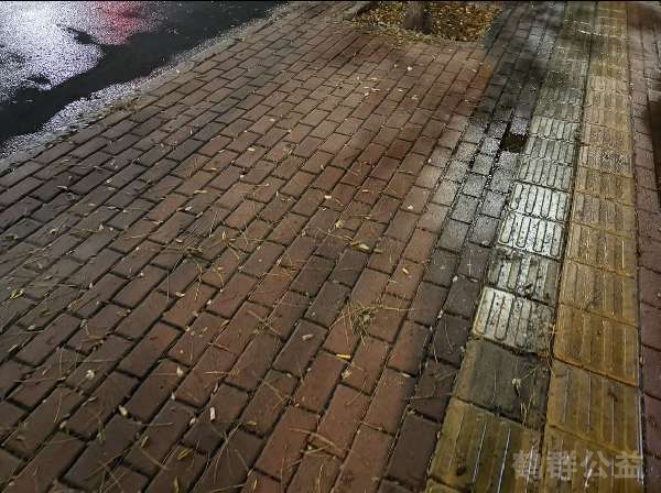 盲道问题处理后图片