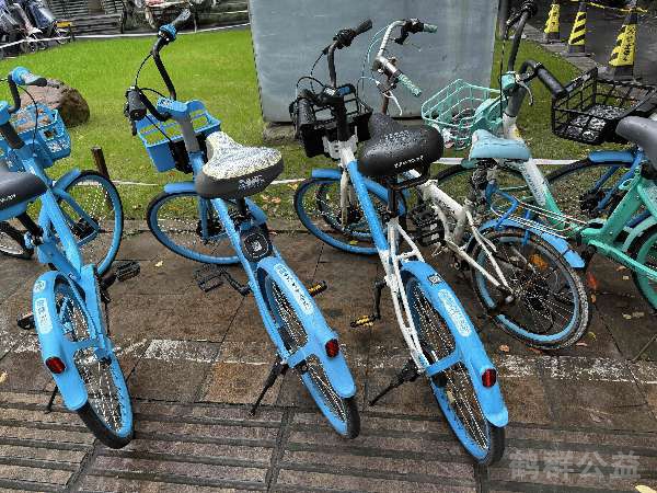 盲道问题反馈图