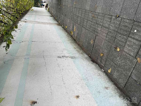 盲道问题处理后图片