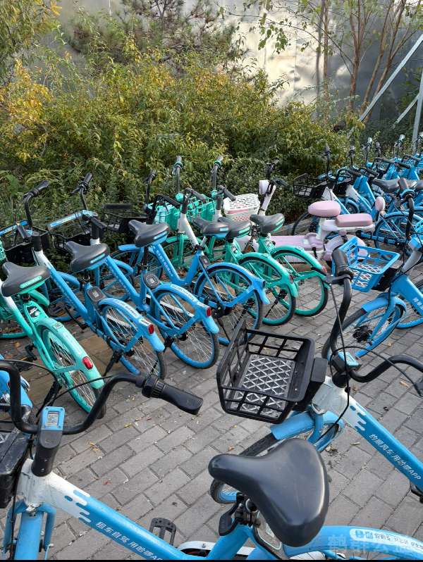 盲道问题反馈图