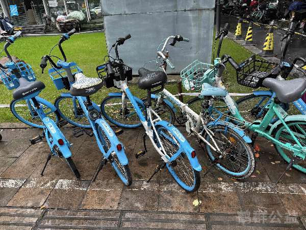 盲道问题处理后图片