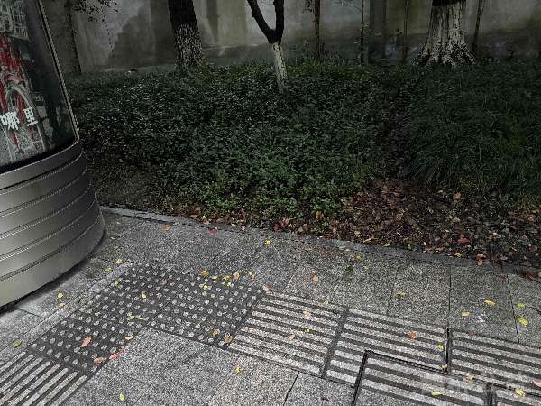 盲道问题处理后图片