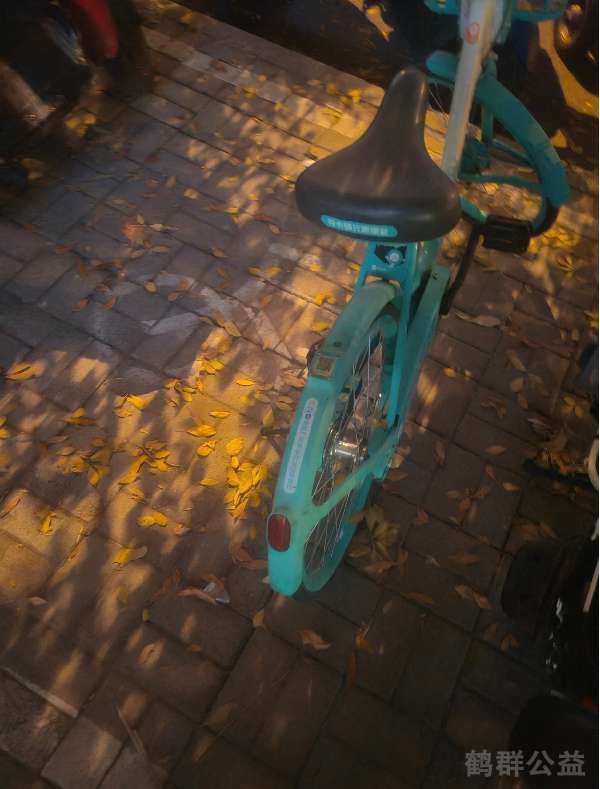 盲道问题处理后图片