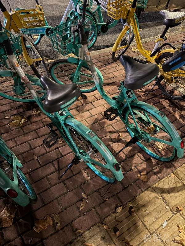 盲道问题处理后图片