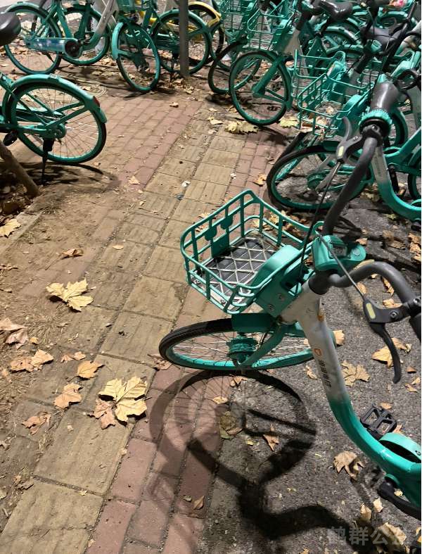 盲道问题处理后图片