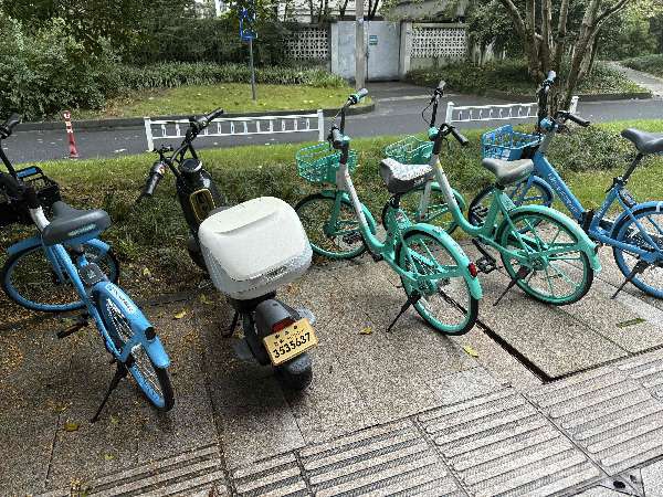 盲道问题处理后图片