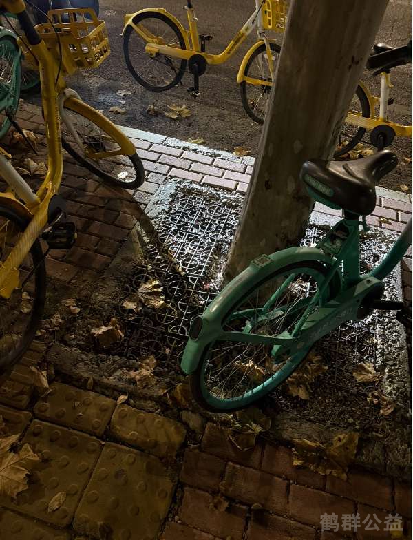 盲道问题处理后图片