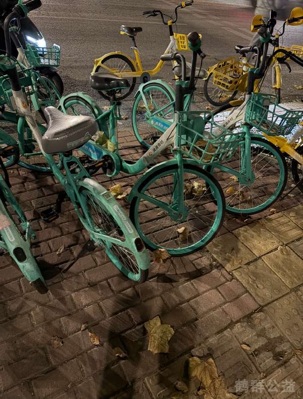 盲道问题处理后图片