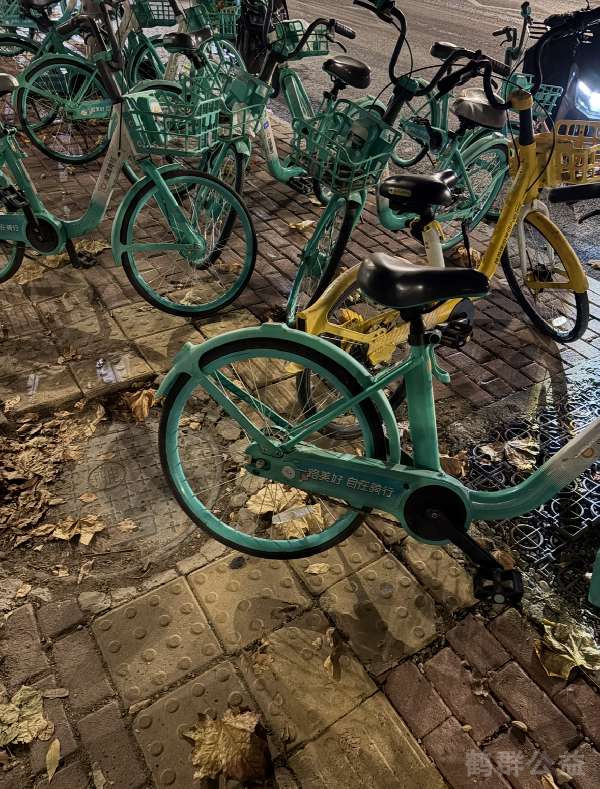 盲道问题反馈图