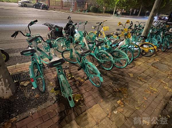 盲道问题处理后图片