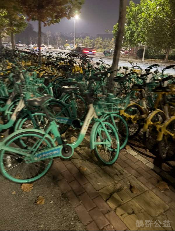 盲道问题反馈图