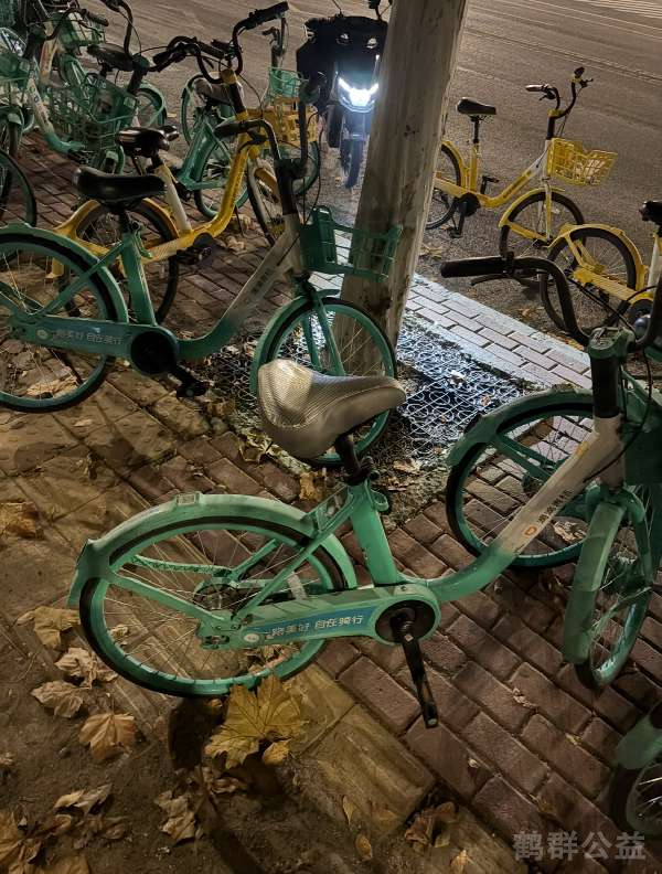 盲道问题反馈图