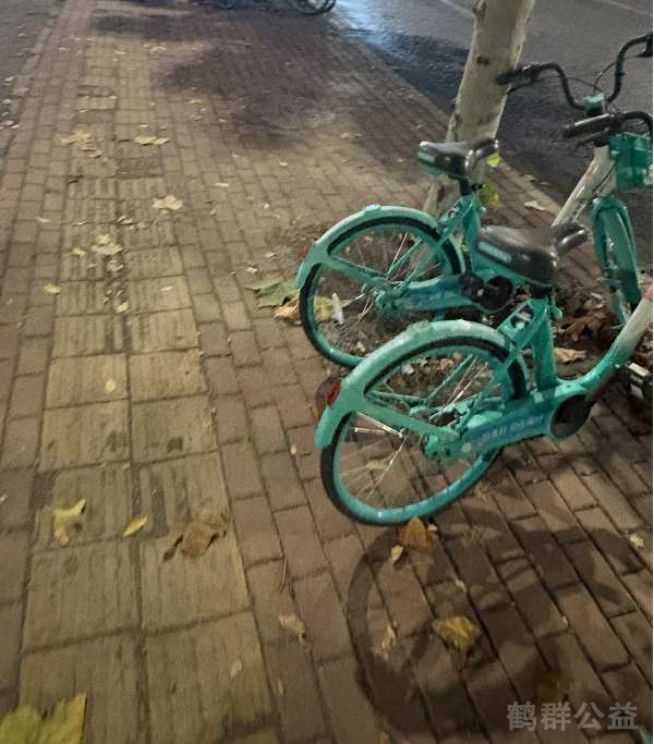 盲道问题处理后图片