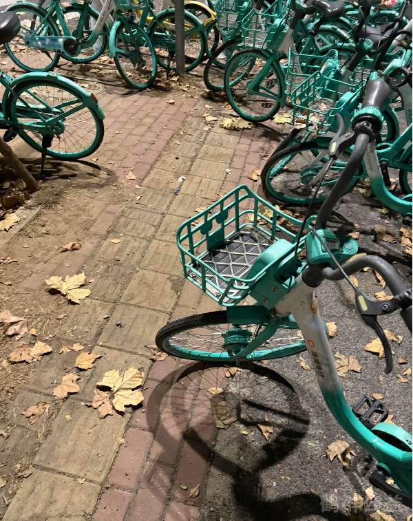 盲道问题处理后图片