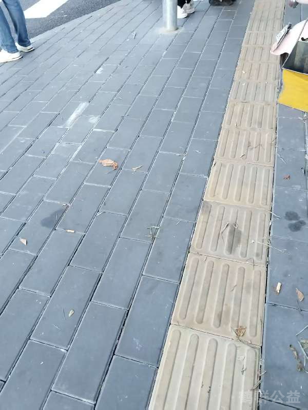 盲道问题处理后图片