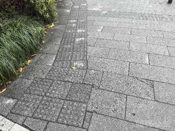 盲道问题处理后图片