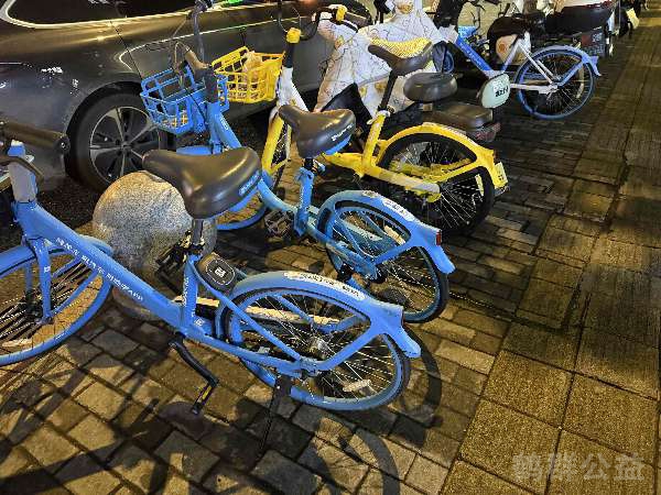 盲道问题处理后图片