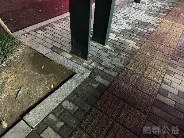 盲道问题处理后图片