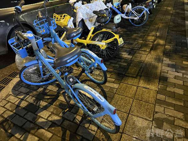 盲道问题反馈图