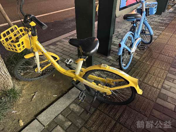 盲道问题反馈图