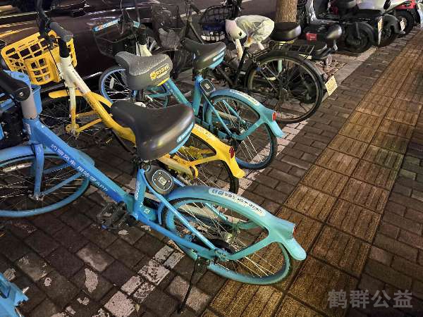 盲道问题反馈图