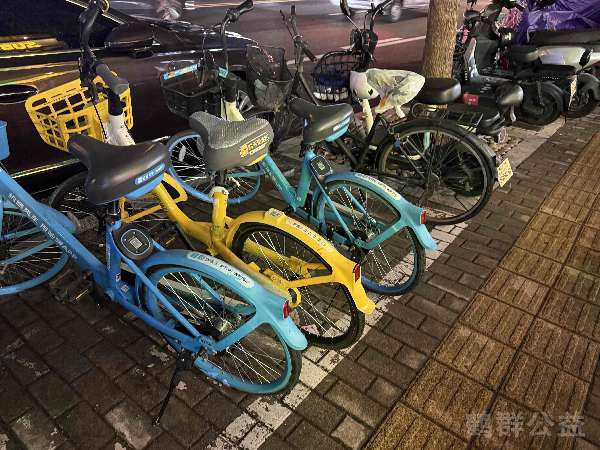 盲道问题处理后图片