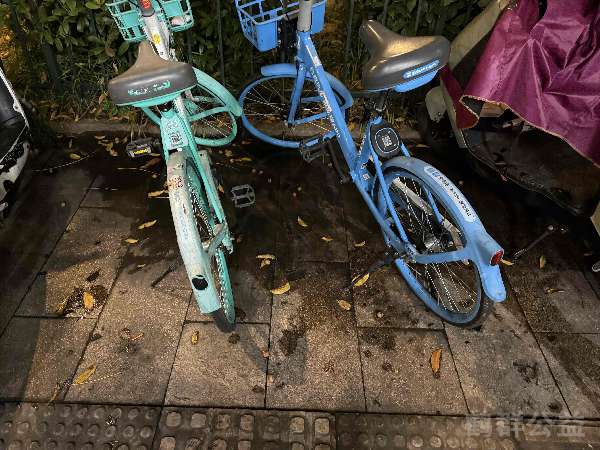 盲道问题处理后图片