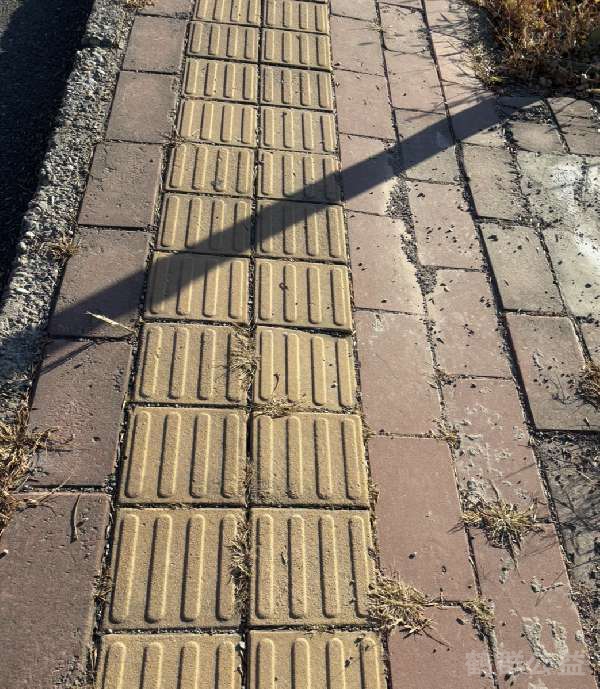 盲道问题处理后图片