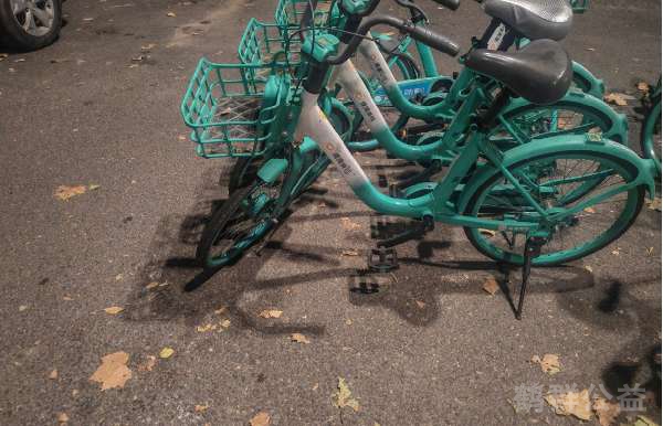 盲道问题处理后图片