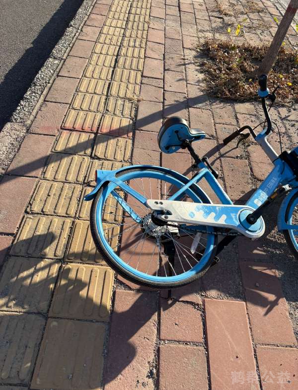 盲道问题反馈图