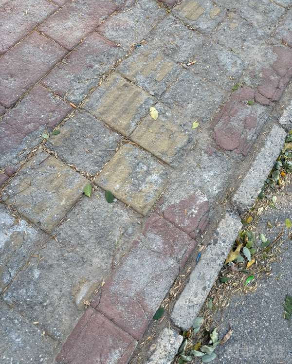 盲道问题处理后图片