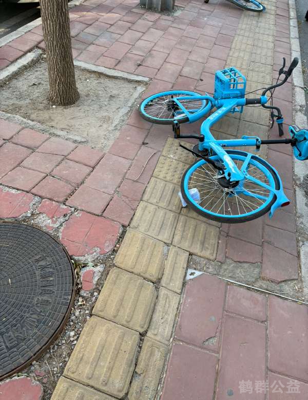 盲道问题反馈图