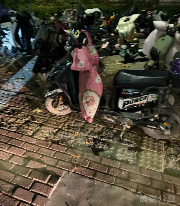 盲道问题反馈图