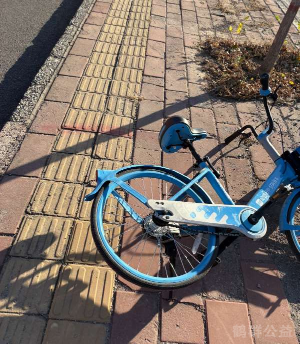 盲道问题反馈图