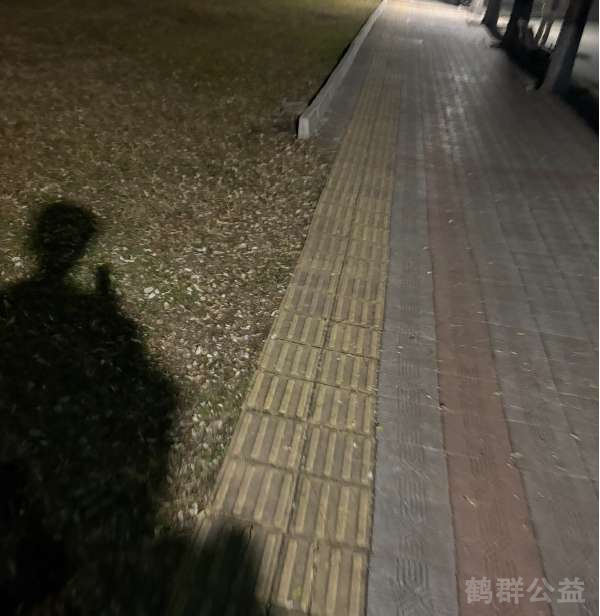 盲道问题处理后图片