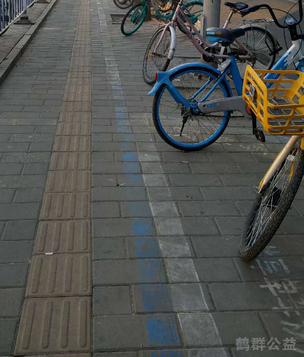 盲道问题处理后图片