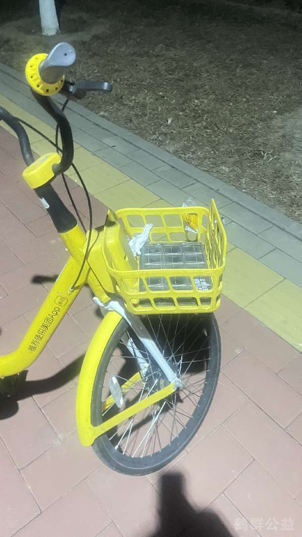 盲道问题处理后图片