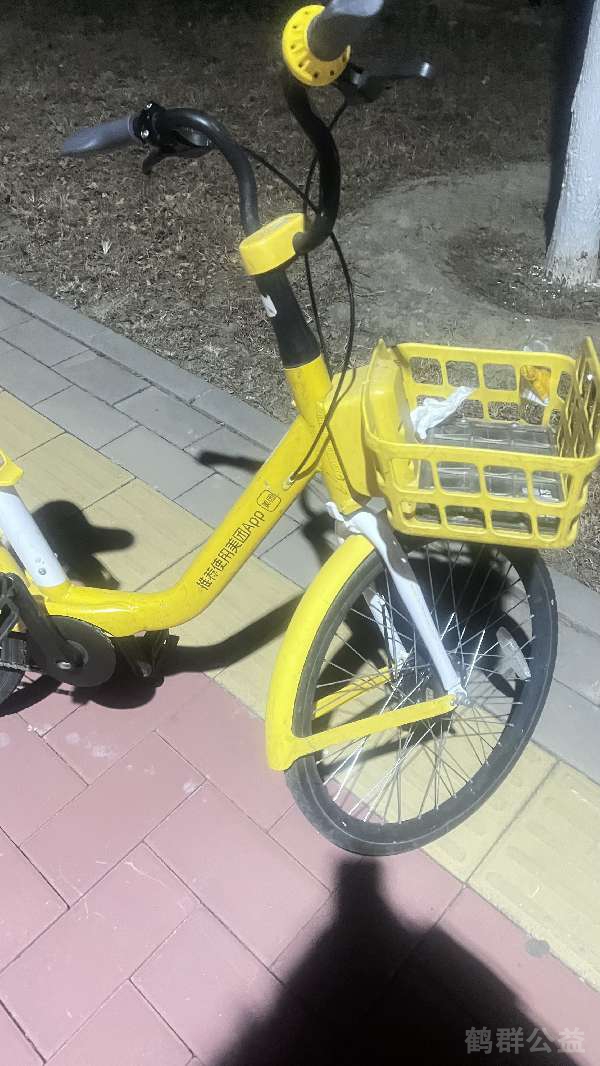 盲道问题反馈图