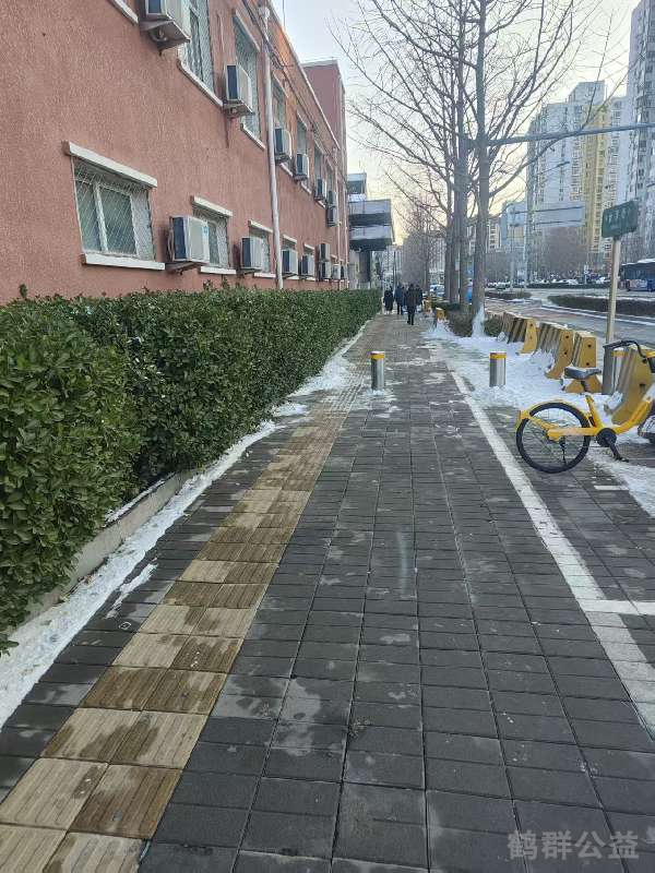 盲道问题处理后图片