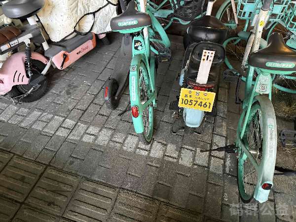 盲道问题处理后图片