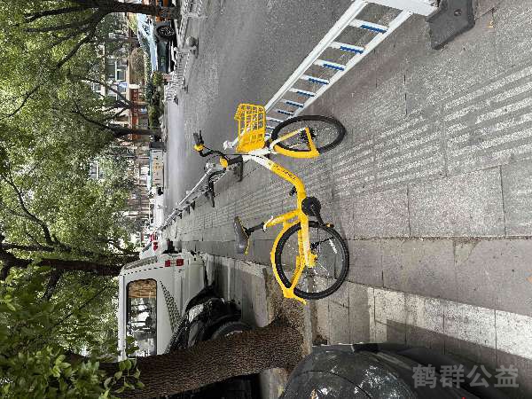 盲道问题反馈图